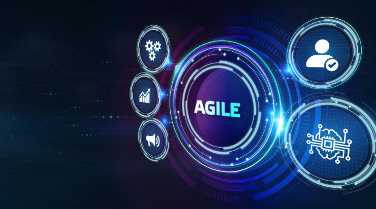 Using Agile Development Techniques to Optimise ROI